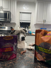 Cadet Duck Wraps for dogs: limited ingredients, natural goodness