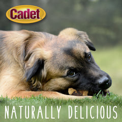Cadet Gourmet Chicken & Apple Wraps large-dog reward offers high-protein training aid.
