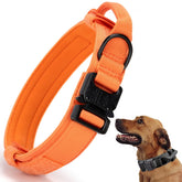 CADONO Tactical Dog Collar orange XXL on display for high visibility during training