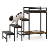 CADUKE pet window perch with stairs front view showing sturdy structure for easy pet access.