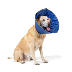 Calm Paws caring collar XL soft-edge close-up showing gentle protection during recovery