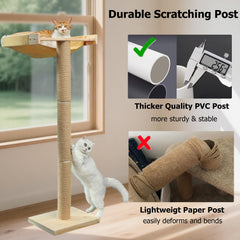 Caloreduce cat window perch cushion is removable and easy to clean.