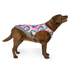 Canada Pooch Chill Seeker cooling vest shows water evaporation for hot-day cooling