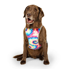 Canada Pooch cooling vest with breathable mesh promotes airflow during adventures
