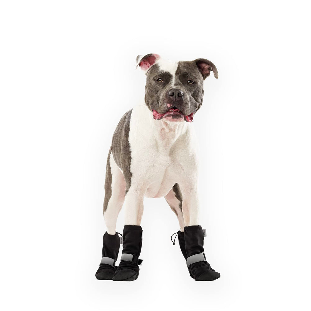 Canada Pooch dog winter boots front view protect paws in snow.