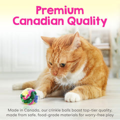 Cancor Innovations cat crinkle balls kitten play—sparkly texture sparks chasing fun.