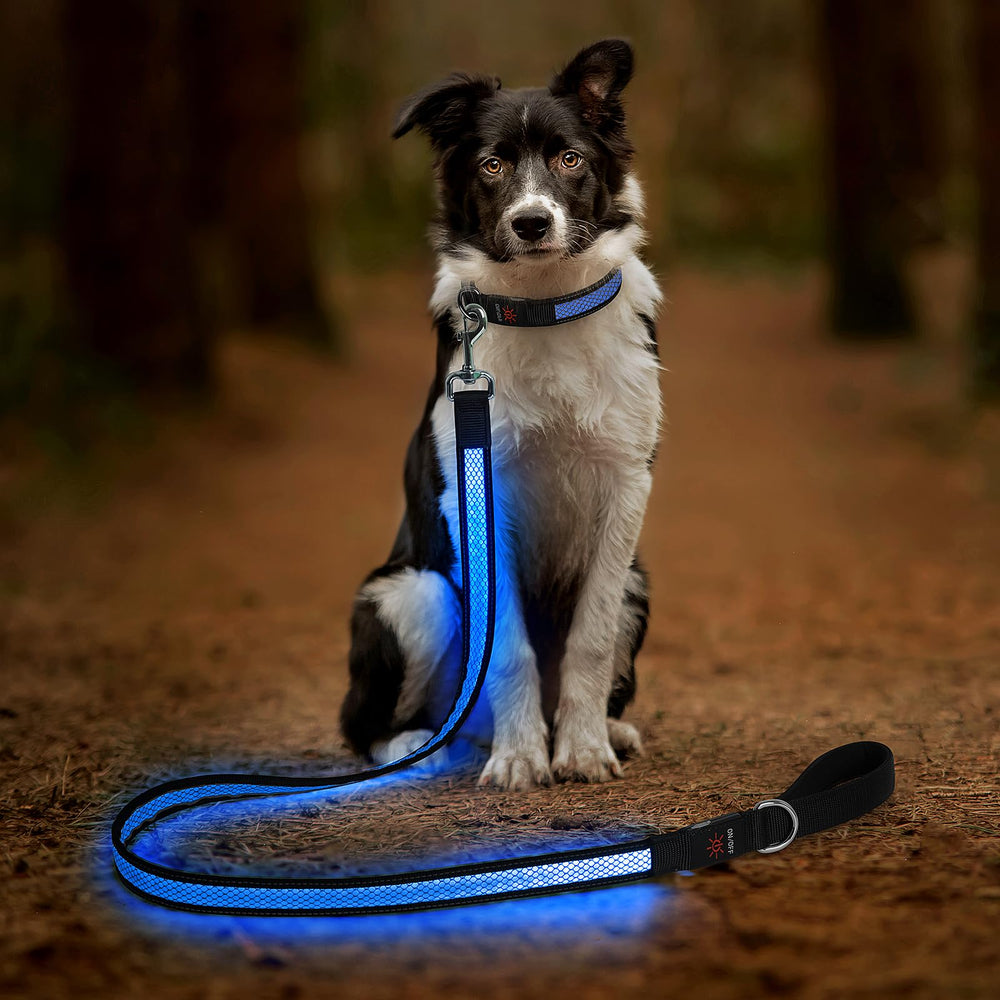 Candofly 4ft LED dog leash blue for outdoor night walks with high visibility.