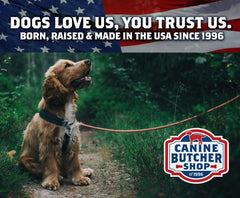 Canine Butcher Shop beef rawhide chip closeup reveals thickness for longer chewing sessions.