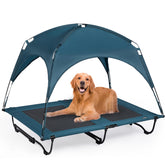 CANINE CANYON 47in elevated bed setup for large dogs with clear space to stretch