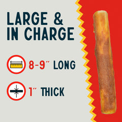 Canine Chews large-dog-chew demonstrates 8-9 inch size in-use.