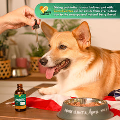 Canis&Cattus easy-drop formula mixing into wet food for picky eaters.