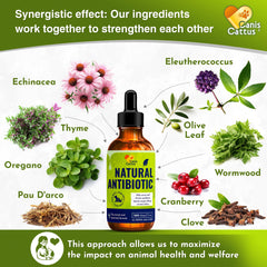 Canis&Cattus immune-support herbal blend showcases ingredients for immune wellness.