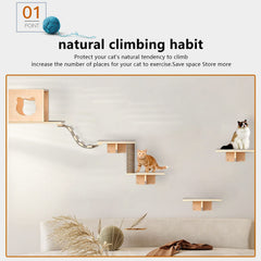 Canormpet cat bridge ladders show elevated routes for curious climbers and lounging.