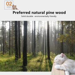 Canormpet cat sisal scratching posts provide durable texture for scratching and play.