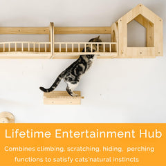 Canormpet cat wall shelves with sisal posts satisfy scratching instincts indoors