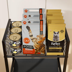 Canyave 4in1 feeding station with dual bowls supports easy meals and hydration.