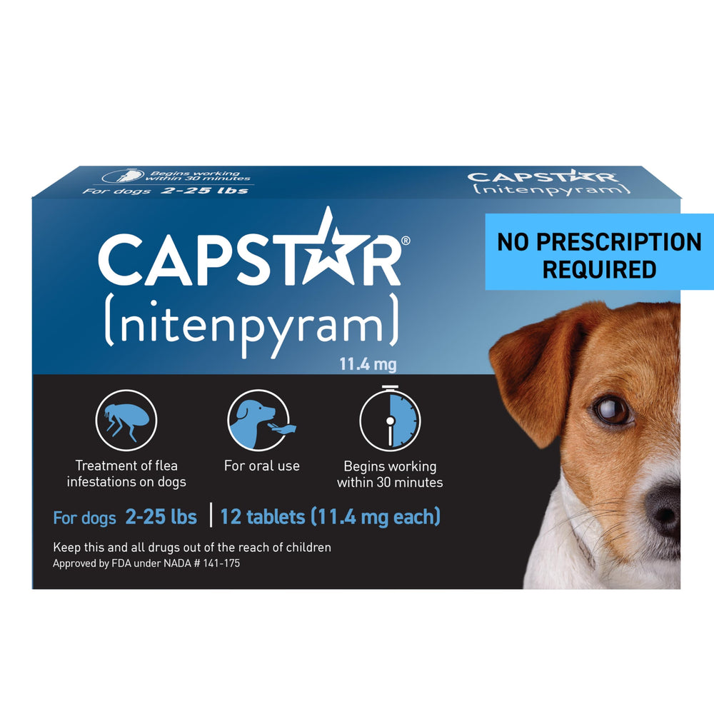 Capstar bottle close-up illustrating fast-acting flea treatment for dogs.