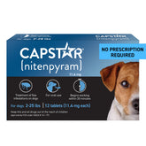 Capstar bottle close-up illustrating fast-acting flea treatment for dogs.