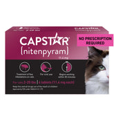 Capstar cat tablet in mouth for fast flea relief