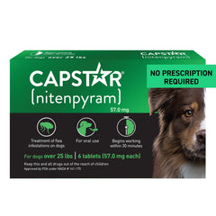 Capstar dog flea tablet packaged for quick at-home flea relief.