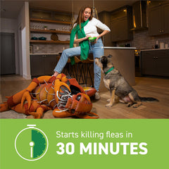 Capstar owner administering tablet to dog for easy flea control at home.