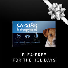 Capstar small-dog 57mg tablet for dogs 2-25 pounds.
