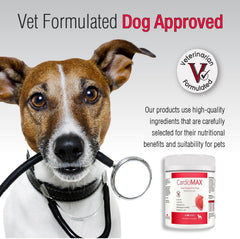 CARDIOMAX granules being offered on spoon promotes easy daily administration for pets.