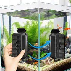 Carefree Fish designed for 15mm glass tanks keeps debris in check.