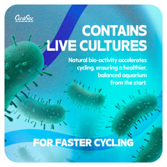 CaribSea Arag-Alive sand coral attachment closeup demonstrates coral placement benefits.