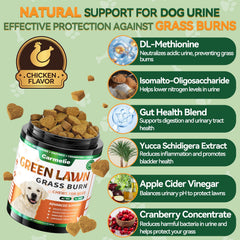 Carmelie Grass Burn Spot Chews held in hand with chicken flavor for easy daily use