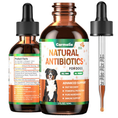 Carmelie dog natural antibiotics dropper close-up for easy administration.