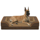 Casa Paw Orthopedic XXL Dog Bed full view shows ample space for large breeds and joint support.