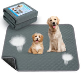 Casa Paw washable pee pad 2-pack front view for daily housebreaking.