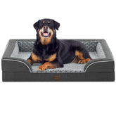Casa Paw orthopedic XL dog bed front view shows plush bolster and ample space for large dogs.