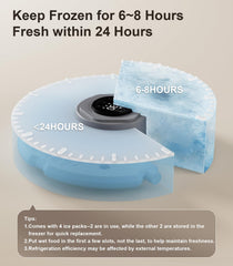 Casfuy 6-meal programming display demonstrates precise portioning and routine feeding.