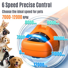 Casfuy dog nail grinder with two LED lights for safe quick grinding