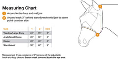 Cashel Econo Fly Mask adjustment strap demonstrates secure, comfortable fit.