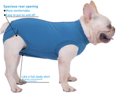 Caslfuca recovery suit protects wounds from licking and scratching while allowing comfortable movement