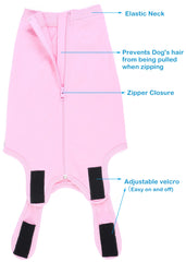 Caslfuca cone-alternative keeps pets moving freely while guarding the surgical area.