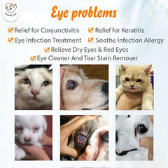 Ojos de mascota brillantes tras uso suave de Cassiel pet