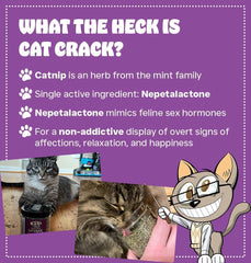 Cat Crack con alto contenido de nepetalactona para estimular exploración y juego.