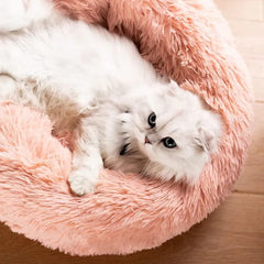 Compact cat-dog bed measures 20 inches, ideal for small pets.