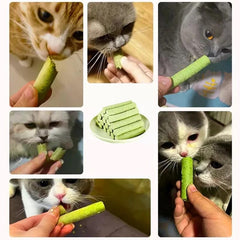 Cat Grass Teething Sticks chicken flavor aroma—appeals to cats during play