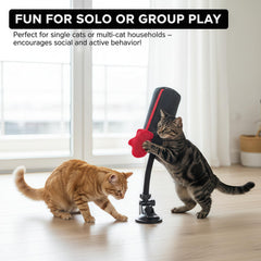 Cat Punching Bag Toy in action demonstrates lively bobbing that keeps cats engaged during indoor sessions.
