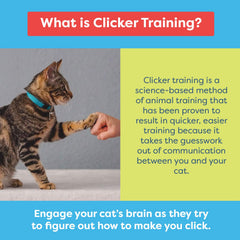 CAT SCHOOL Clicker Training Kit quiet clicker reduces noise during training sessions