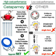 Catapamey 304 stainless anchors secure stake on firm ground