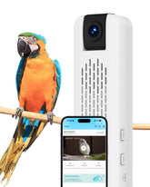 CATBOAT Smart Bird Training Camera 2.5K Live View shows detailed cage activity for quick monitoring.
