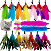 CATENEED cat feather refill 16-piece pack ready for endless indoor play