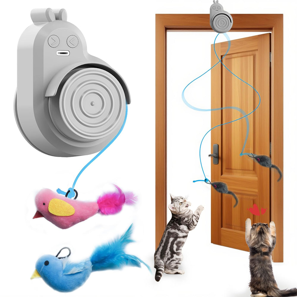 CATPICK interactive doorway toy with flying bird in action for indoor cat enrichment