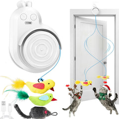 Catpick toy door-mount setup enables hands-free play and daily exercise.